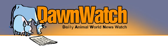 DawnWatch